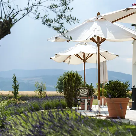 Domaine De Clair Saint-Clair (Ardeche)